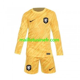Maillot de Foot Pays-Bas Extérieur Gardien UEFA EURO 2024 Manches Longues - Enfant